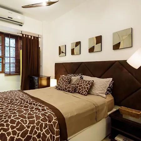 Belo Estudio Em Copacabana - Ideal Para Casais - Pf118 Z4-3