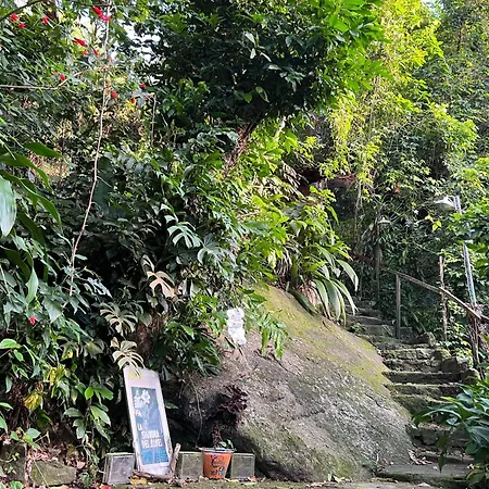 Amazing Forest House In The City!-3
