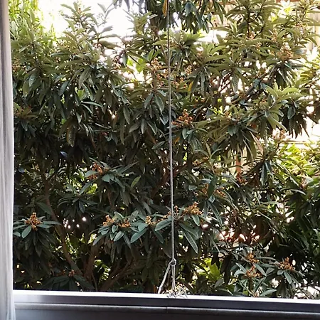 Apartamento Parque Jardim Europa-2