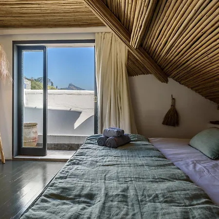 Casa Samambaia-2