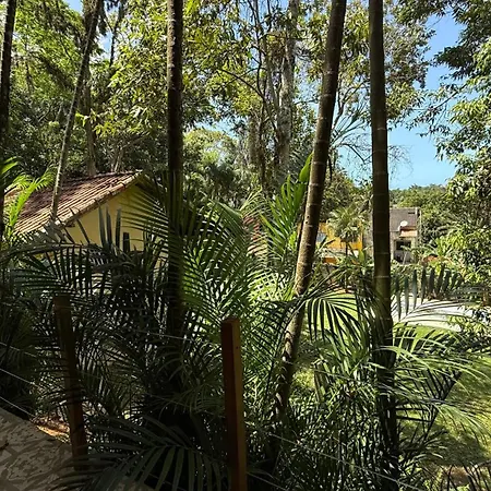 Casa da Floresta-3
