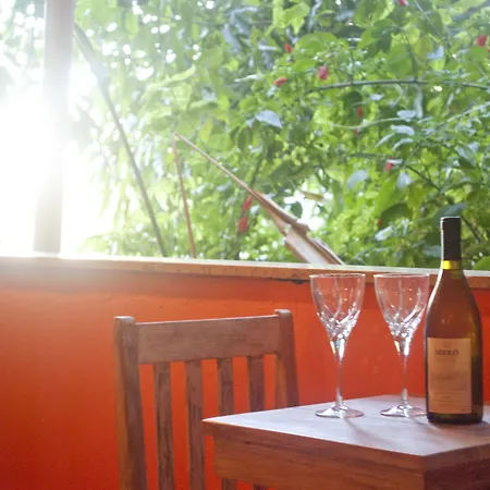 Boutique Hotel Gavea Tropical-3