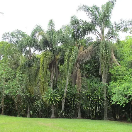 Pousada Relicario-2