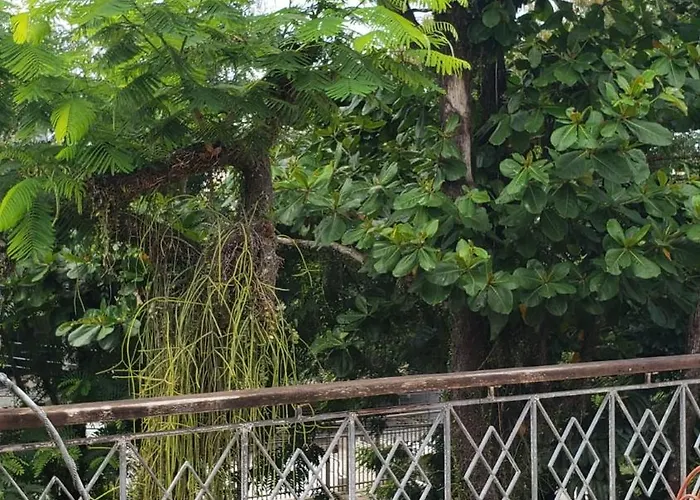 Alugo quarto próximo a praia em nossa residência
