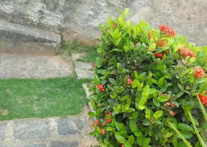 Acomodacao Praia Da Barra