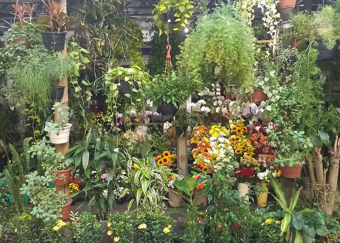 Parque Jardim Europa
