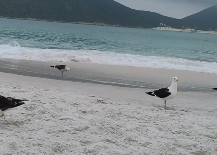Cantinho No Mar
